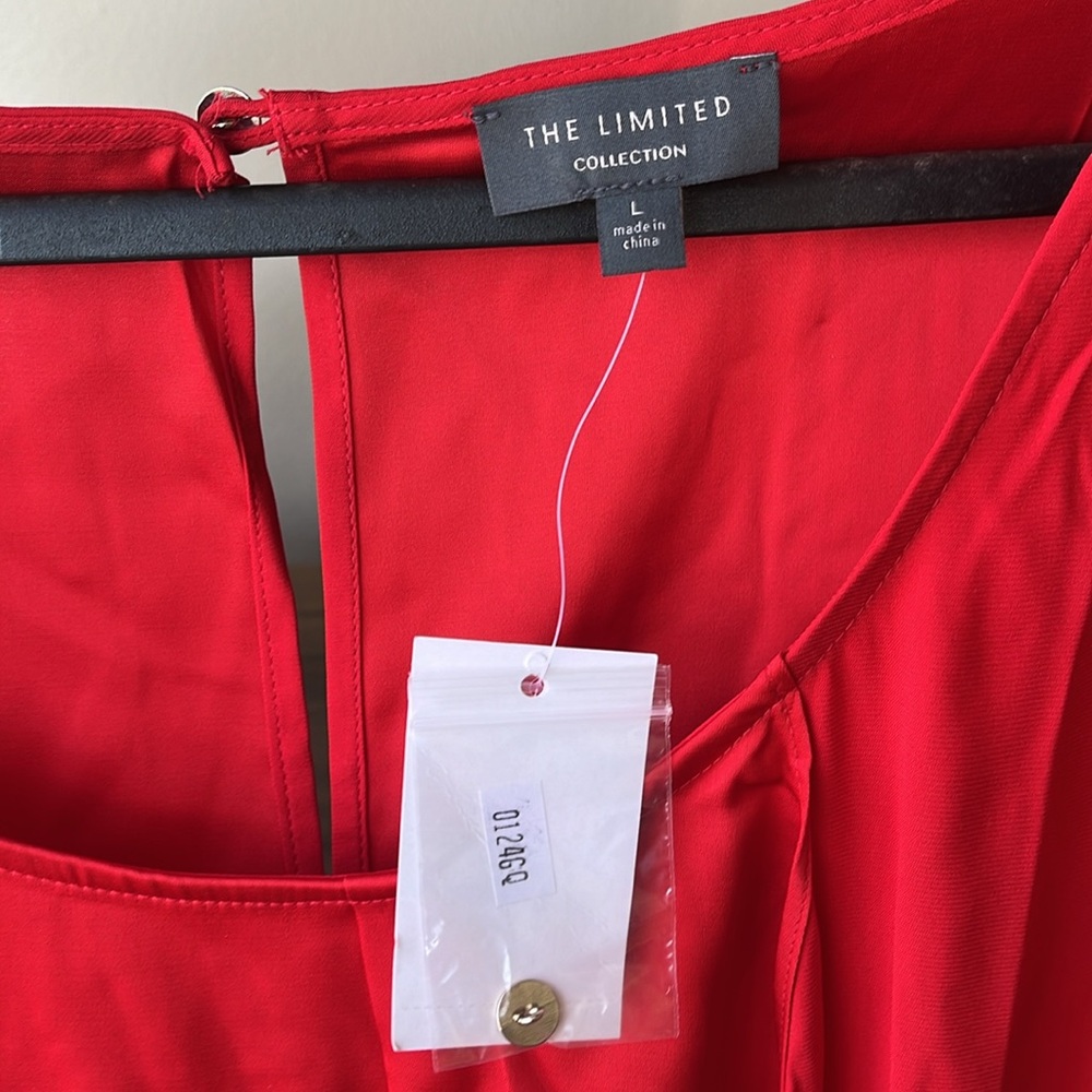 The limited - L- brand new with tags has a lovely overlay, pleaded in the front - Picture 5 of 5